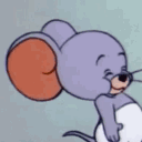 baerini_1